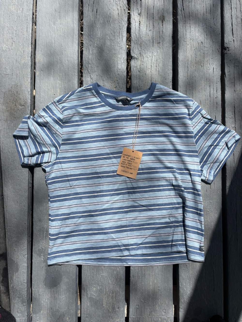 Toad&Co Light Blue and Navy Striped Womens organic cotton Tee